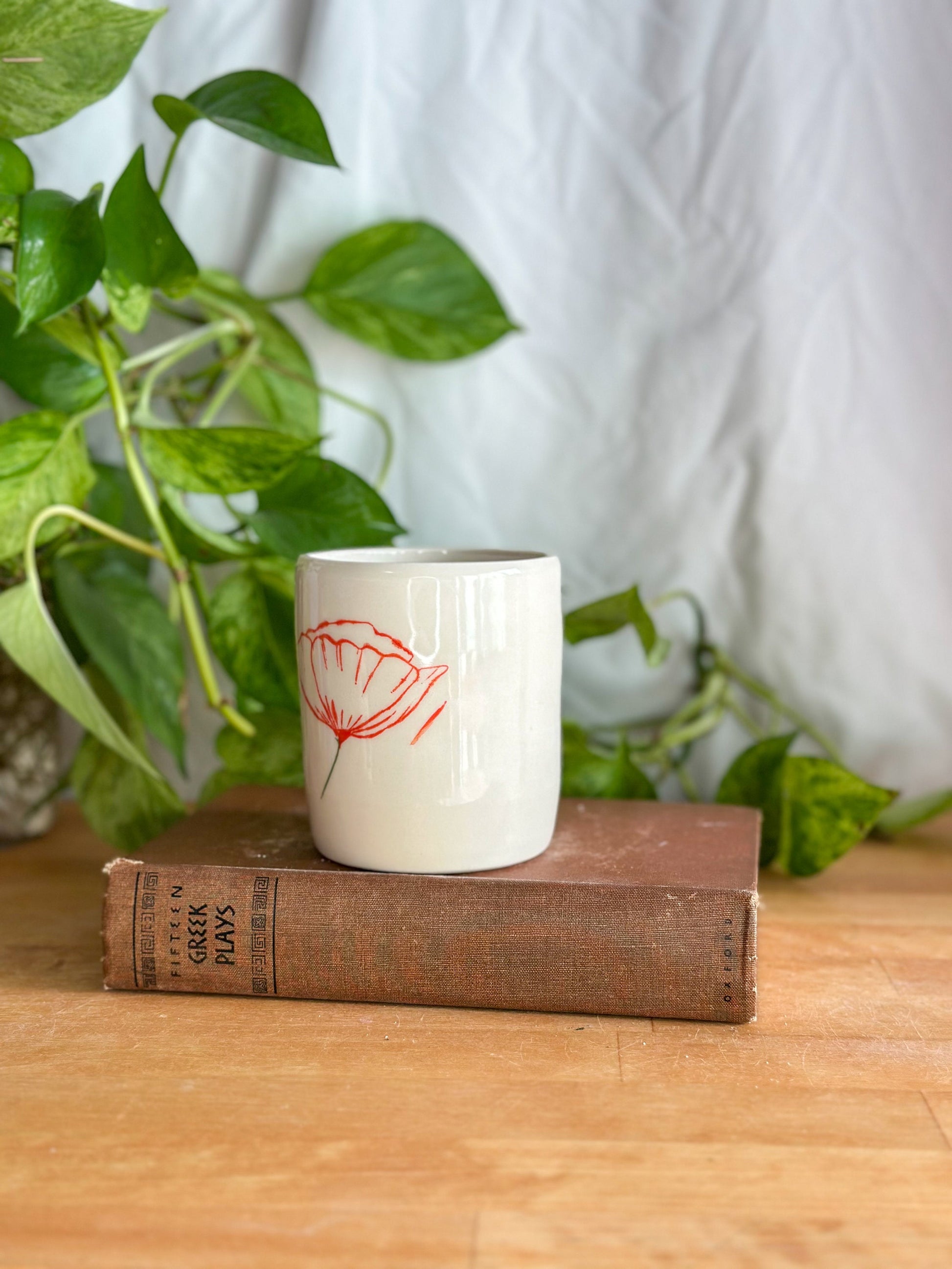 detail view of white and red poppy floral cup