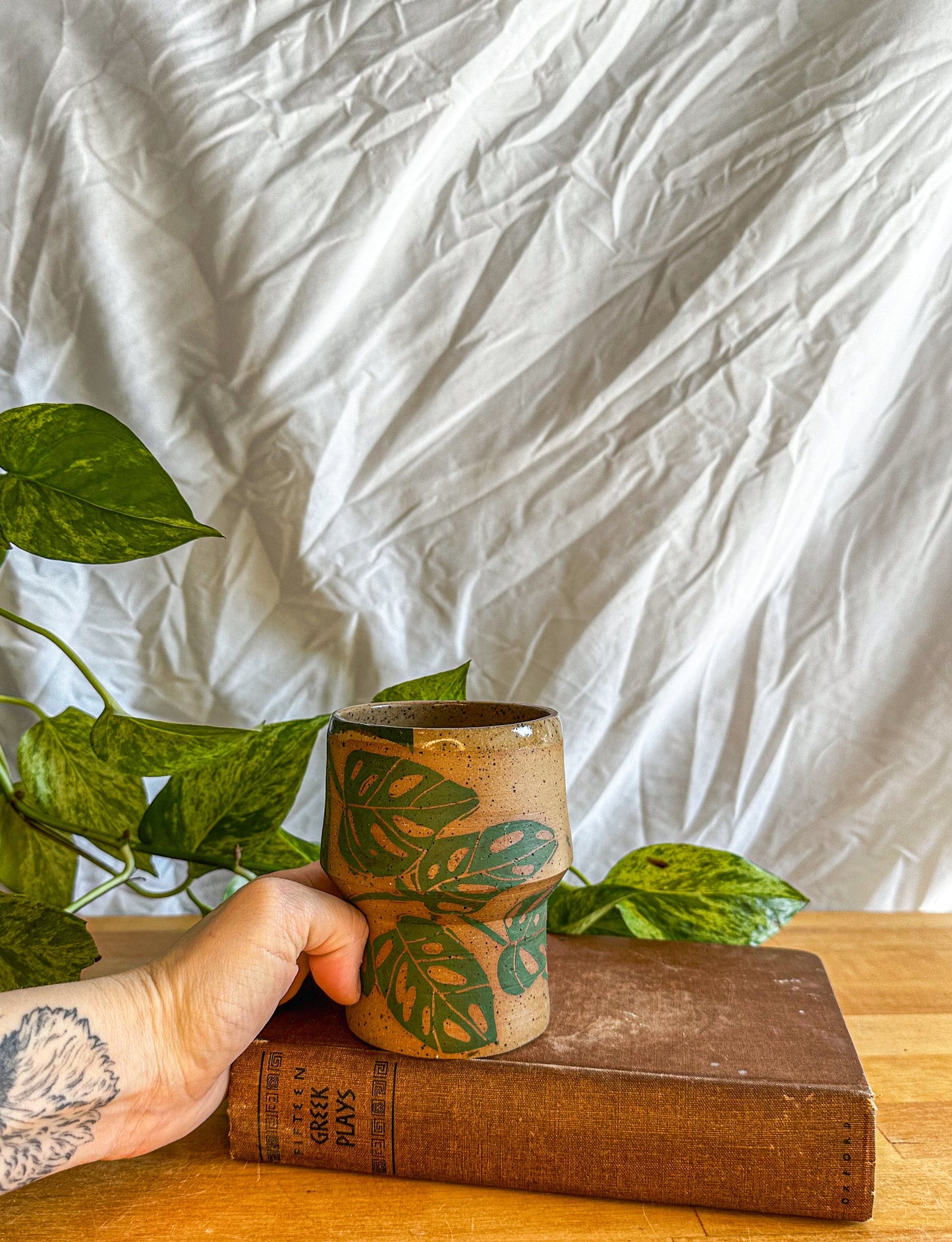 handholding cup monstera