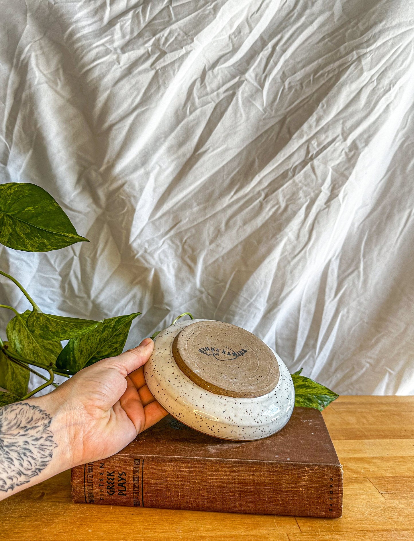 white and brown speckled modern small plate