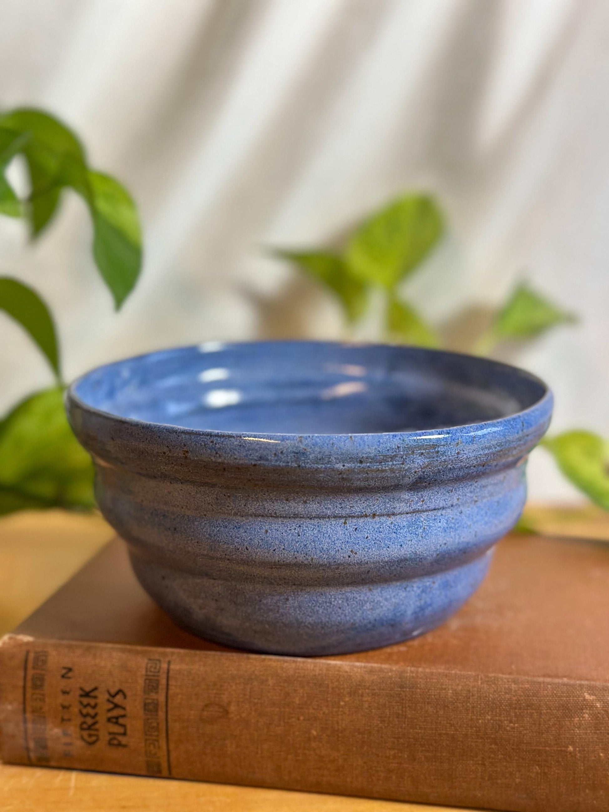 blue speckled soup bowls