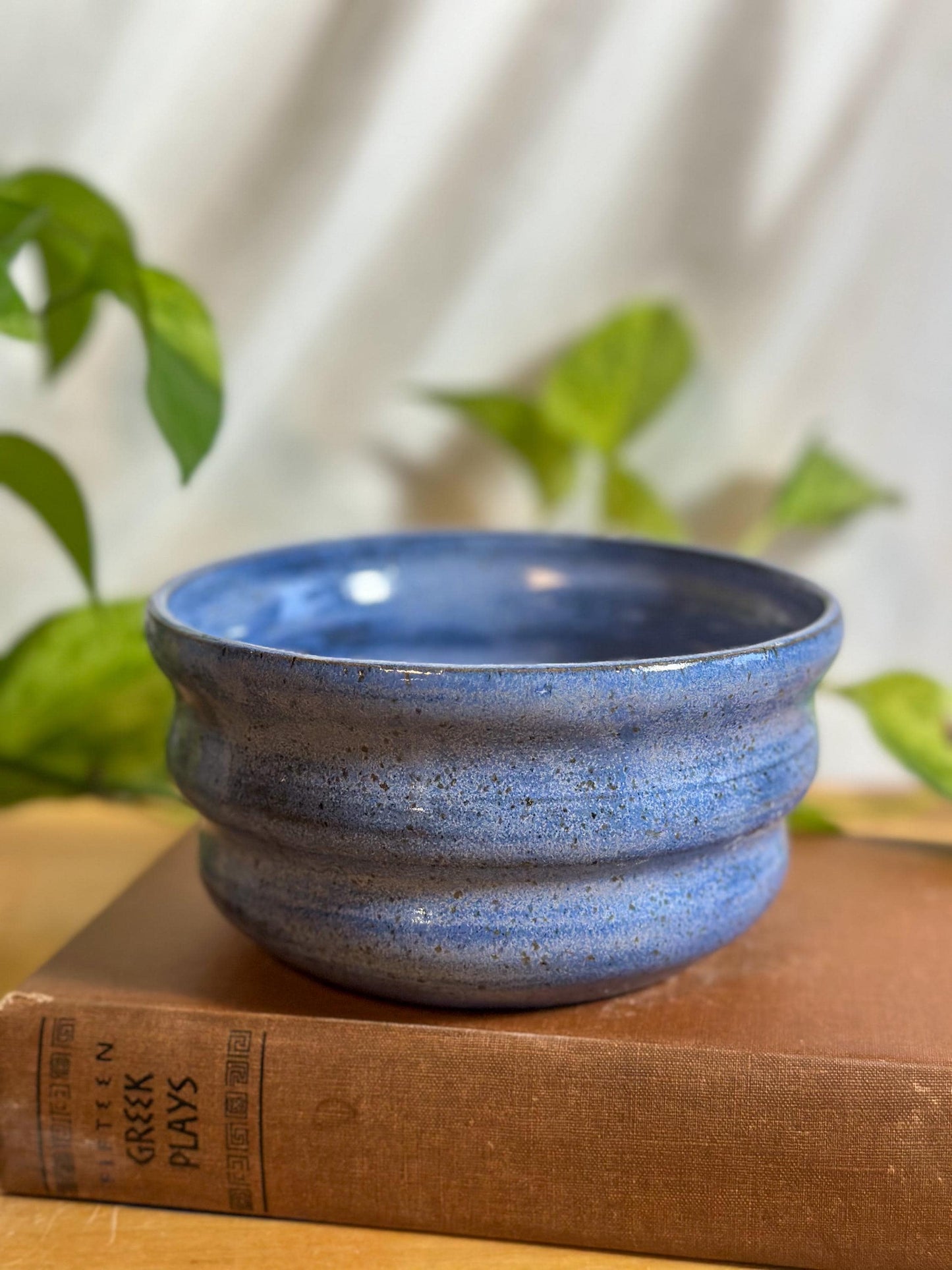 blue speckled soup bowls