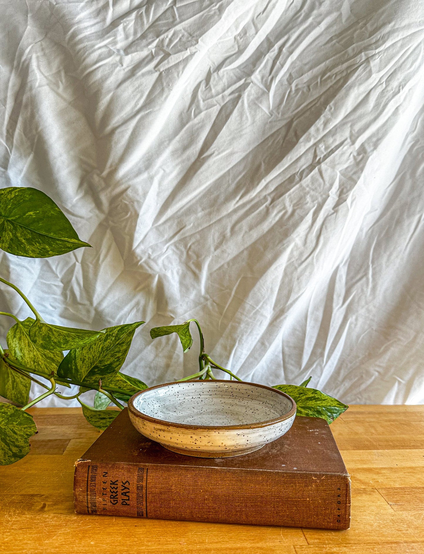 white and brown speckled modern small plate