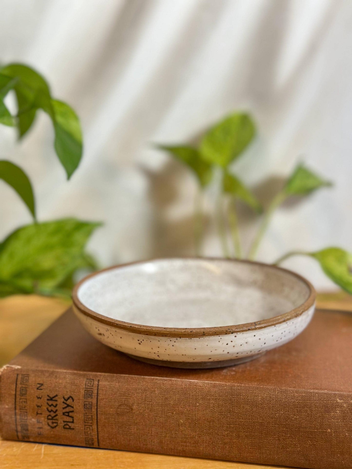 white and brown speckled modern small plate