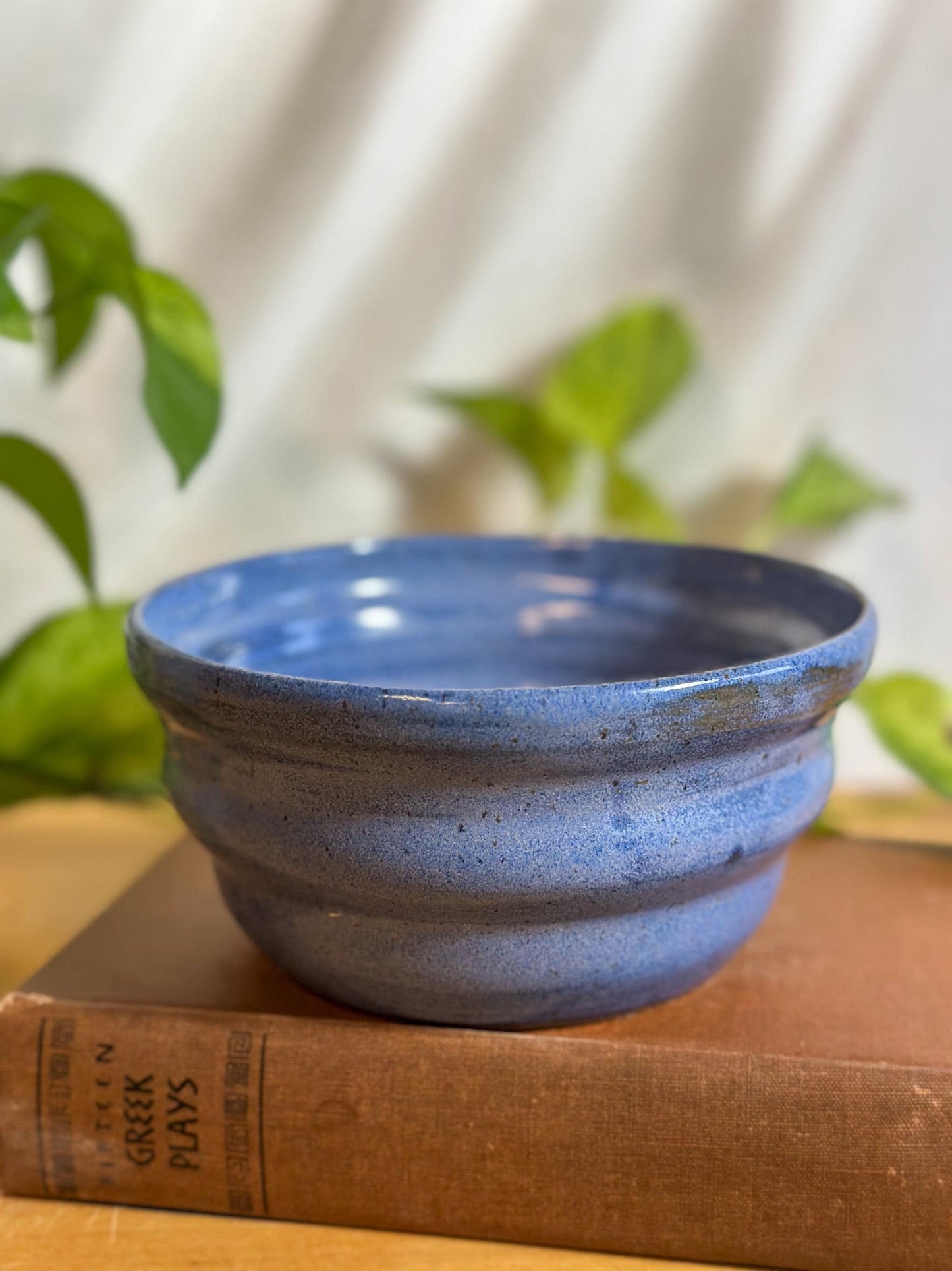 blue speckled soup bowls