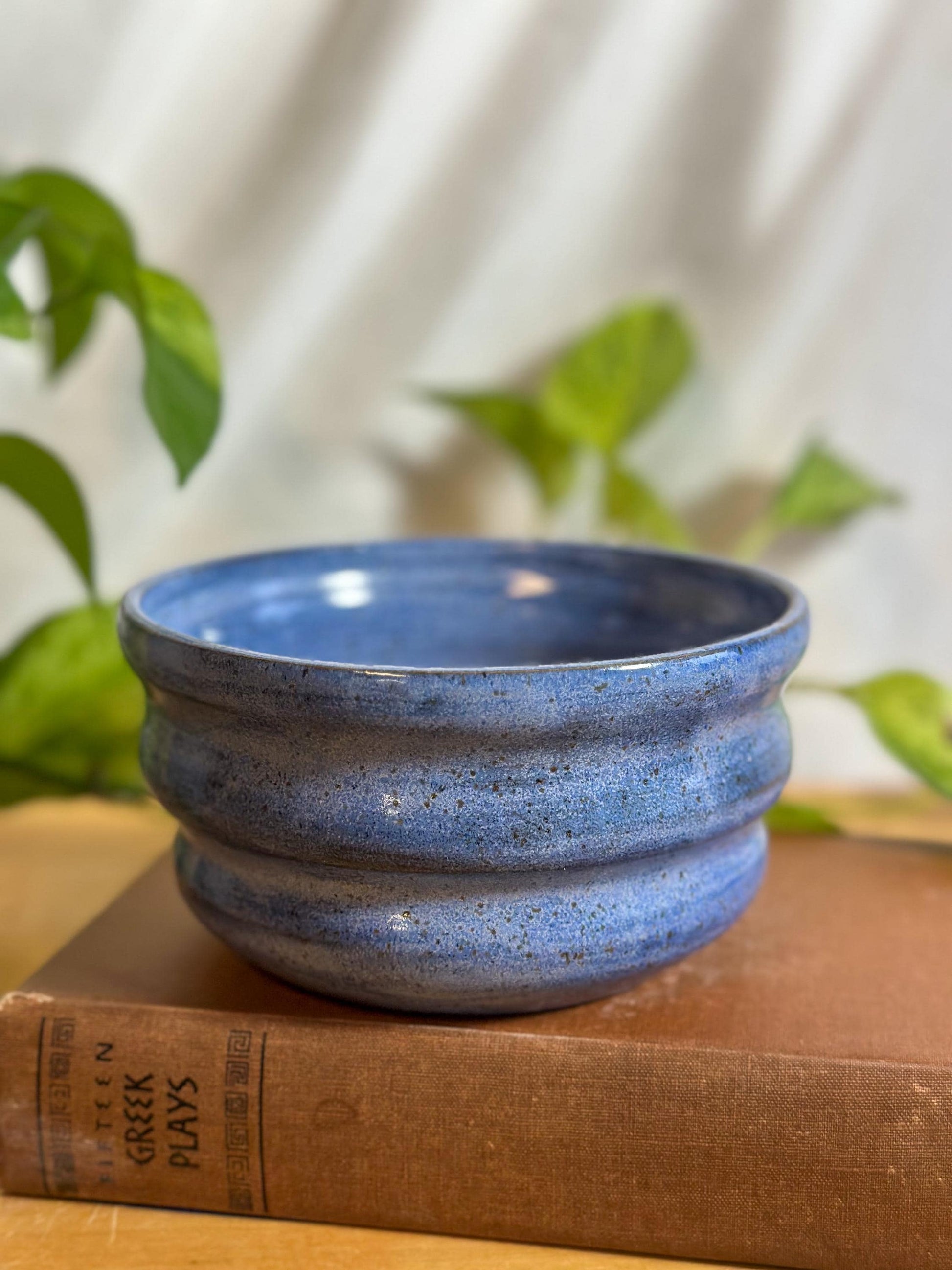 blue speckled soup bowls