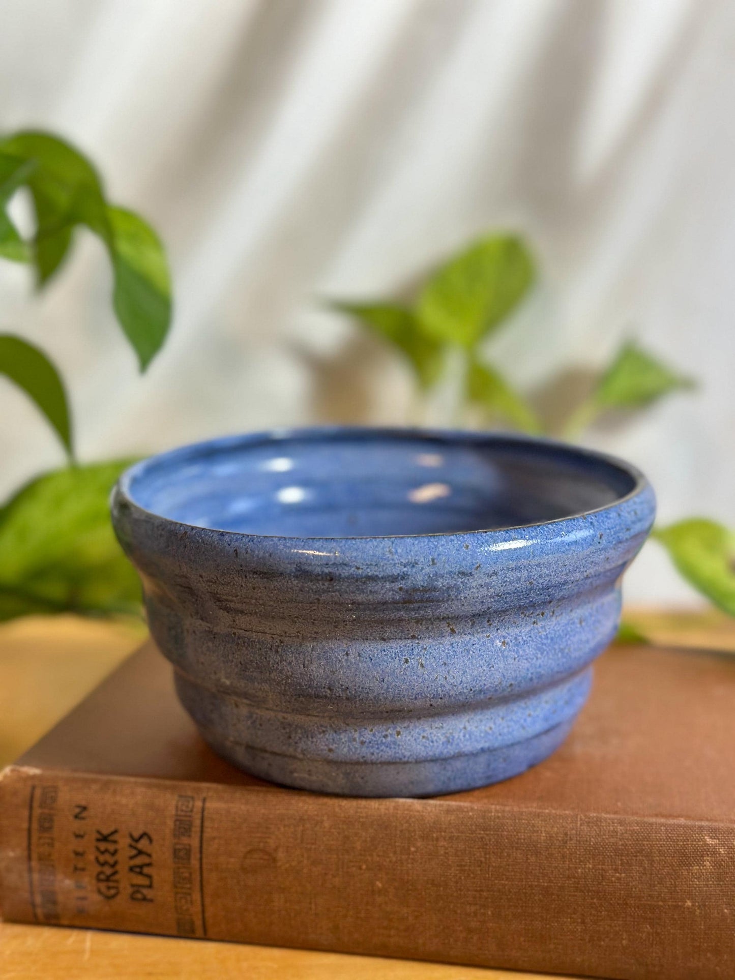 blue speckled soup bowls