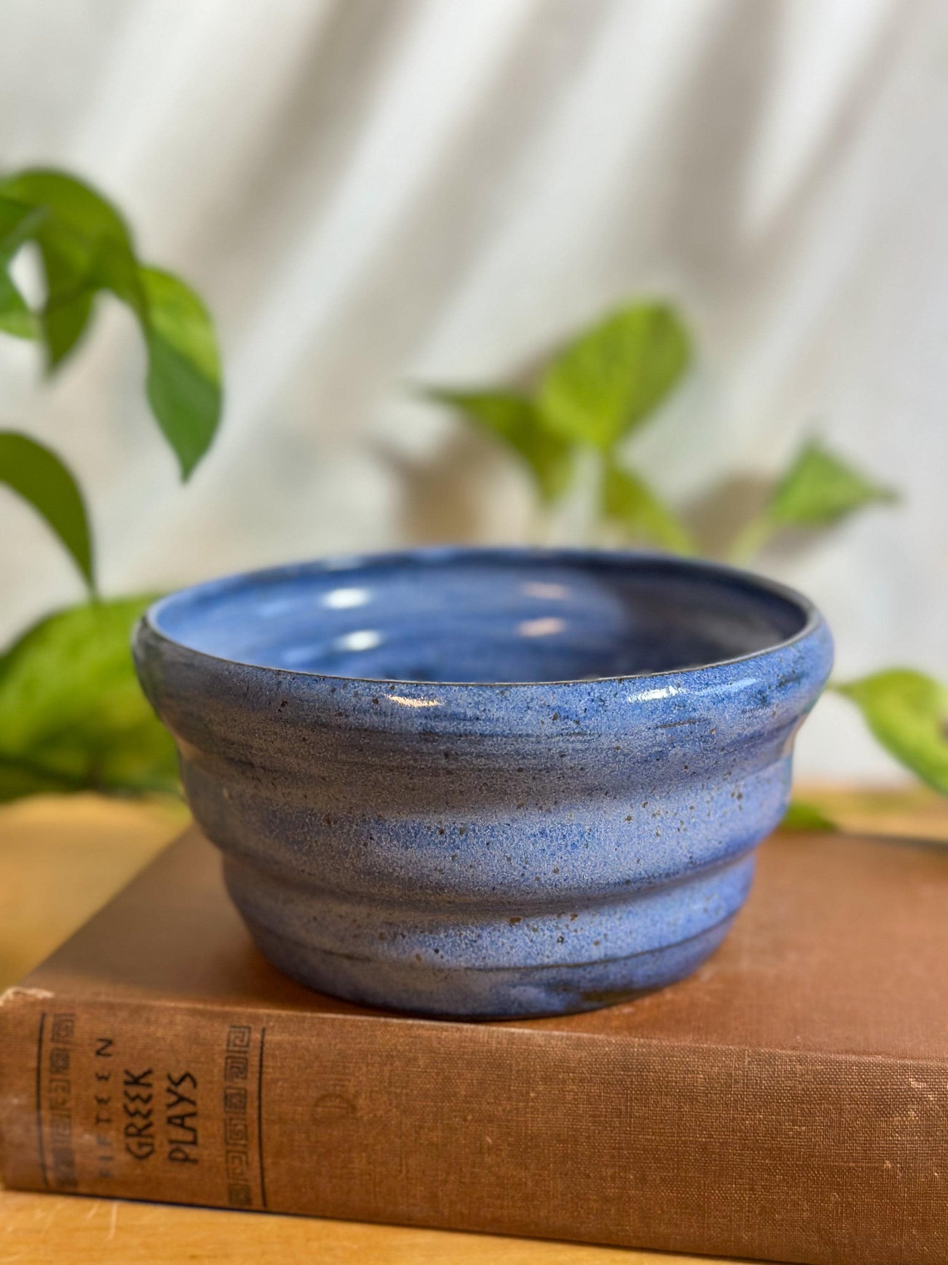 blue speckled soup bowls