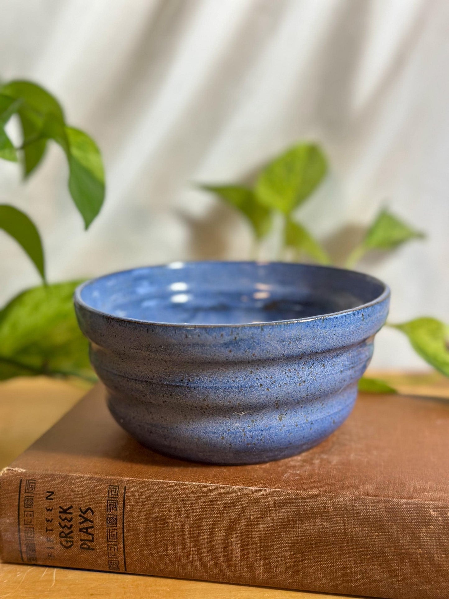 blue speckled soup bowls