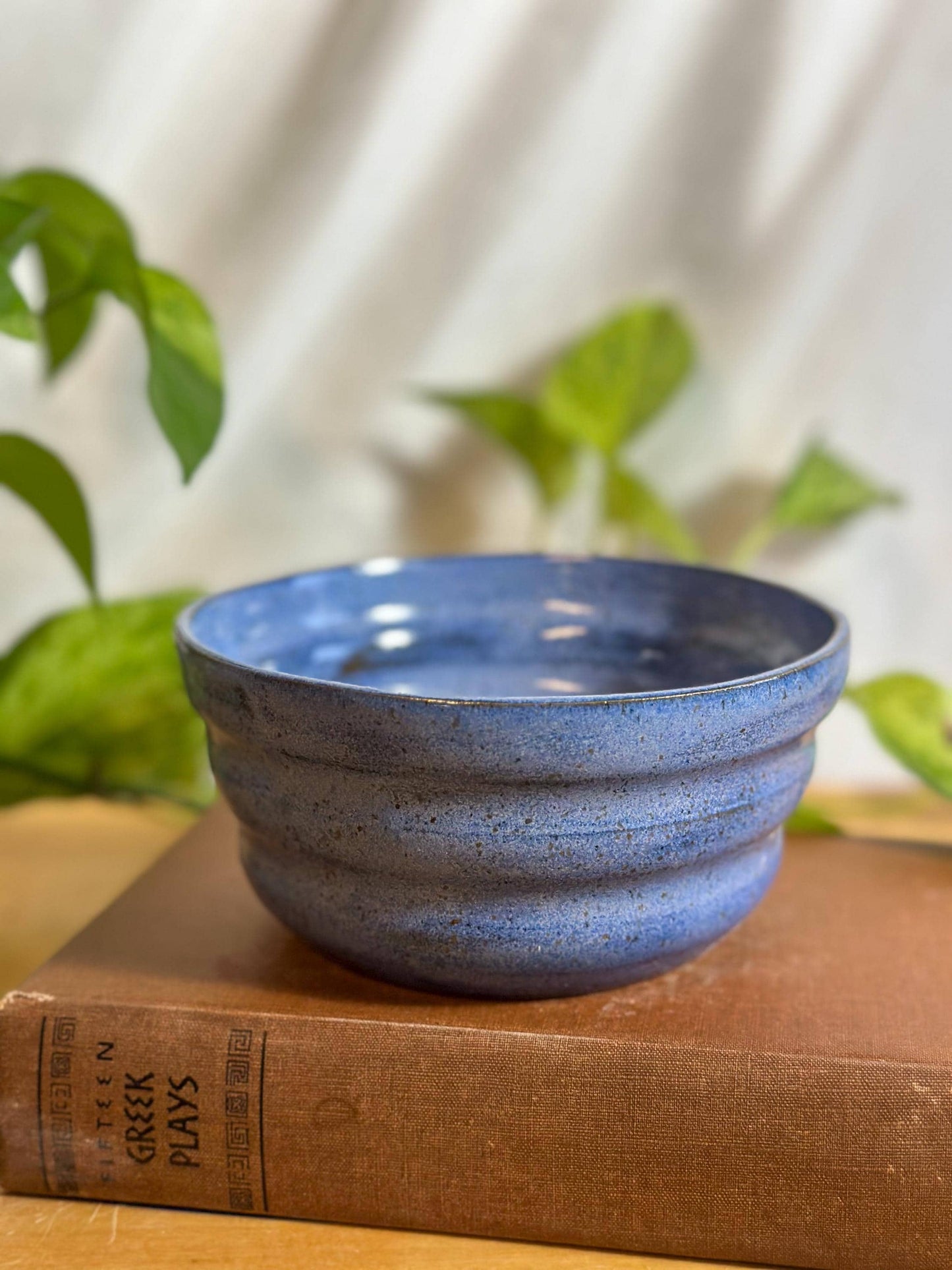 blue speckled soup bowls