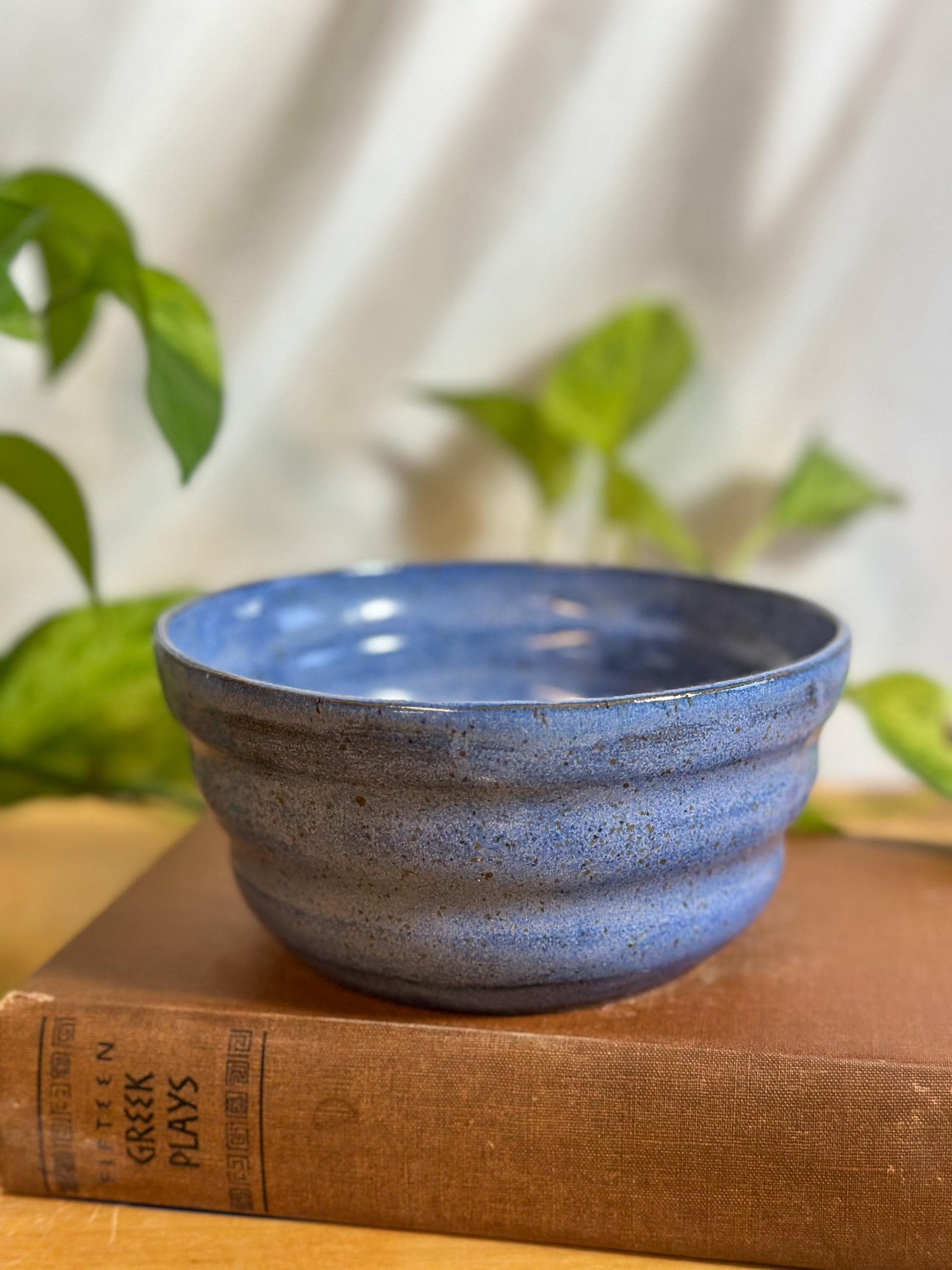 blue speckled soup bowls