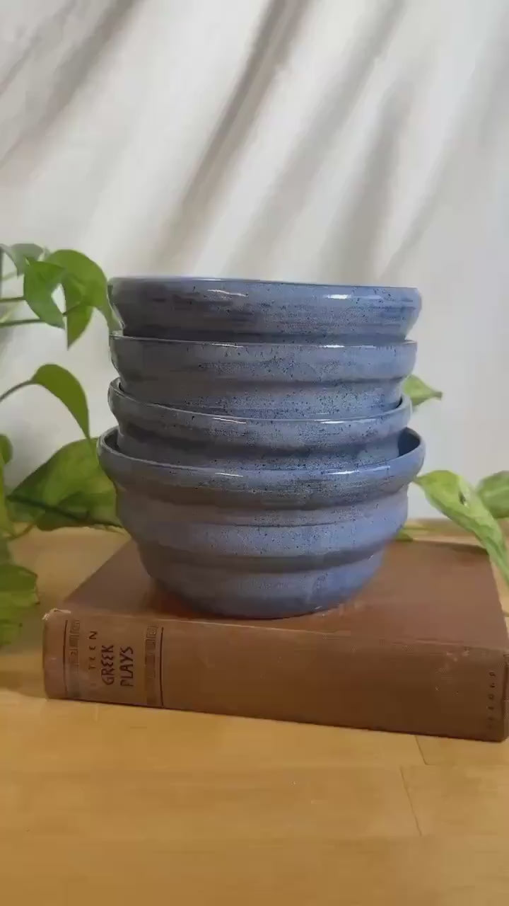 blue speckled soup bowls